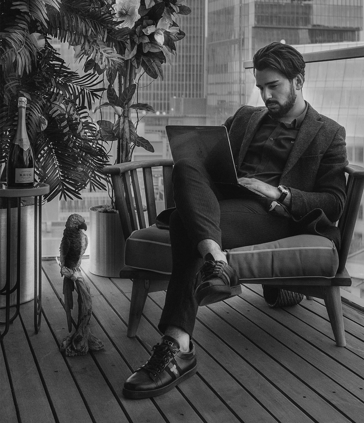 Hombre sentado en un sillón, mirando una laptop, con una planta y una botella a su lado.